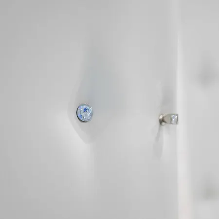 The Garden Regency 別荘 *